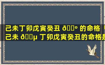 己未丁卯戊寅癸丑 🌺 的命格「己未 🐵 丁卯戊寅癸丑的命格是什么」